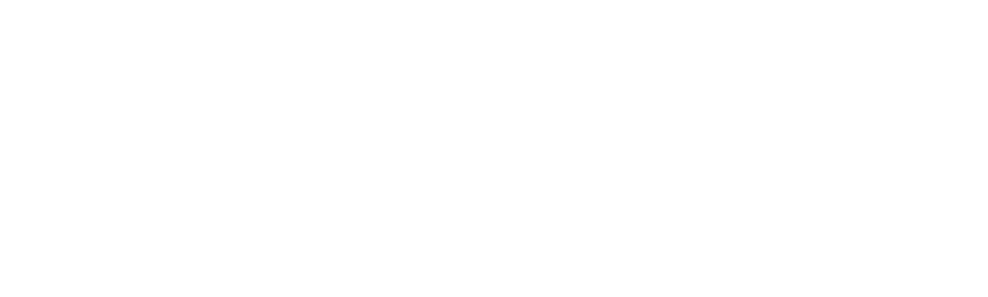 Mobilfox